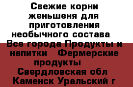 Свежие корни женьшеня для приготовления необычного состава - Все города Продукты и напитки » Фермерские продукты   . Свердловская обл.,Каменск-Уральский г.